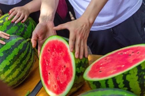 华清学院女子吃瓜,揭秘校园生活趣闻