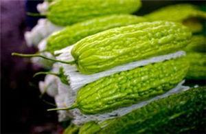 绿叶瓜孕妇可以吃吗,安全与营养两不误