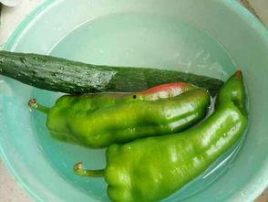 鸡美丽吃瓜,一场意外的美食之旅