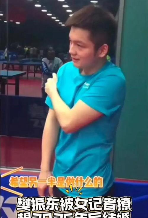 樊振东 吃瓜,揭秘乒乓球名将的“瓜田”生活”