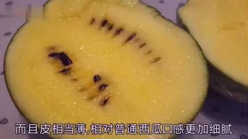 吃瓜就爱小西瓜,揭秘“吃瓜就爱小西瓜”的流行之谜