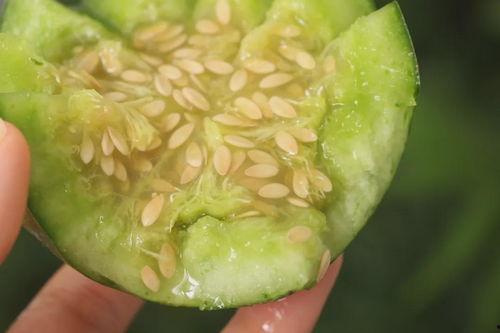 带皮吃的瓜,带皮吃瓜的奇妙体验