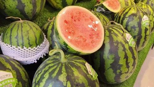 天天想着吃瓜,揭秘“天天想着吃瓜”的疯狂世界