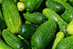 梦到吃无籽瓜,无籽瓜的甜蜜诱惑