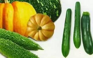 妞子吃瓜,揭秘娱乐圈那些不为人知的幕后故事