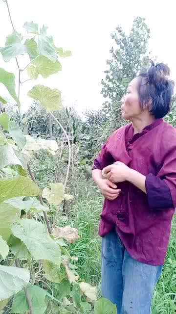 园子姐姐吃瓜,揭秘娱乐圈幕后故事