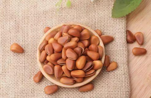 Ted松子吃瓜,揭秘TED演讲中的趣味瞬间