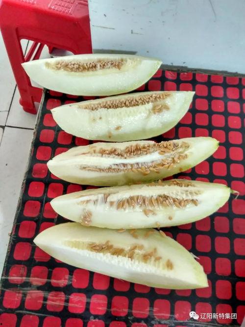 雅园吃瓜,一场别开生面的吃瓜盛宴