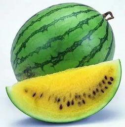 上渚山吃瓜,寻味田园，尽享清凉时光