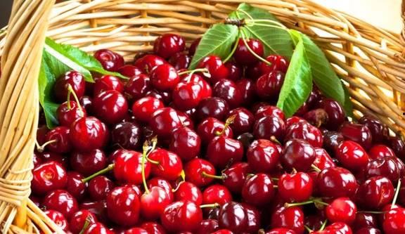 吃毛瓜可以吃樱桃吗视频,探索两者共食的奇妙组合