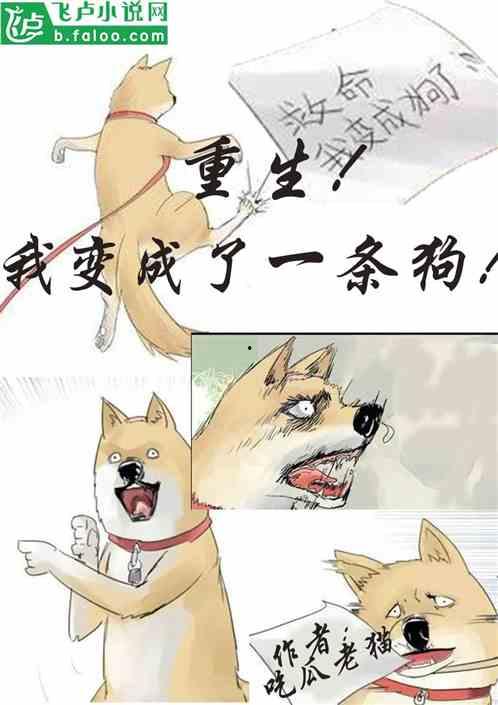 吃瓜认亲小说在线阅读