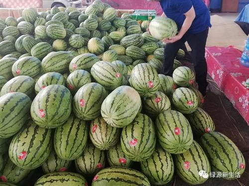 吃瓜品事,揭秘娱乐圈幕后真相