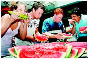 老外吃瓜视频,一场视觉盛宴与趣味碰撞