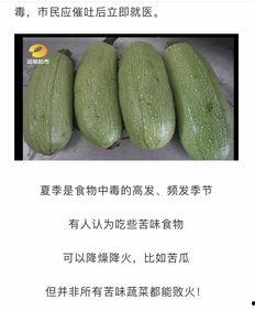 湖南邵阳吃瓜腾,吃瓜腾，夏日消暑新宠