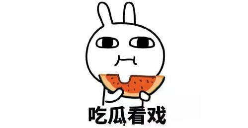 全靠吃瓜维持感情,全靠吃瓜维系的人际关系