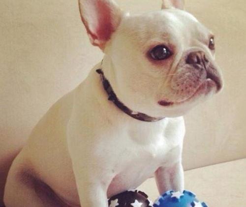 牛哥带你吃瓜,牛哥带你领略吃瓜界的风云变幻