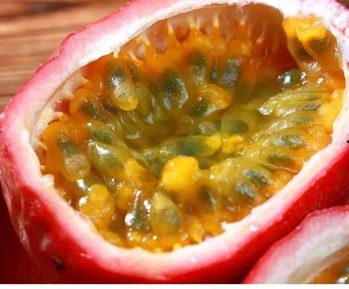 萝卜吃瓜肚子,探寻健康饮食的趣味之道