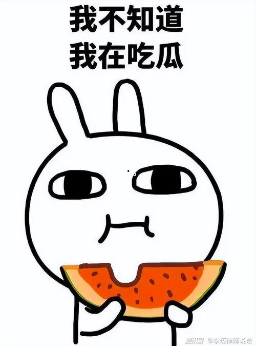 瓜瓜吃瓜 视频,揭秘热门视频背后的故事与真相