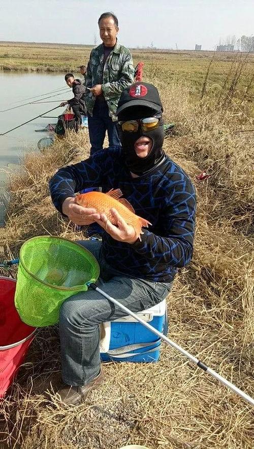 钓鱼吃瓜事件真相,真相背后的网络陷阱与道德反思