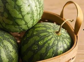 吃瓜小新鲜,揭秘娱乐圈幕后故事