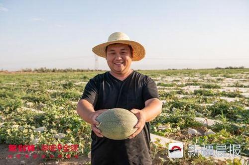 达浪吃瓜,揭秘娱乐圈幕后故事