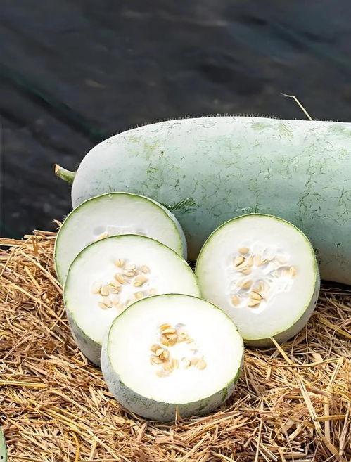 冬季吃哪些瓜,暖身滋补的瓜类选择