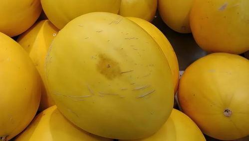 现在吃黄色的瓜,探寻黄色瓜果的多样美味