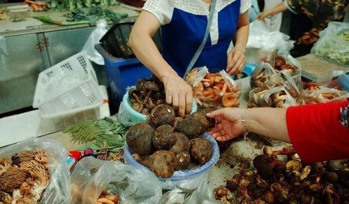 云南吃瓜韩婧格完整版