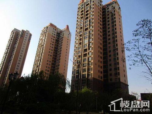 大汉新城吃瓜,一场吃瓜盛宴背后的故事