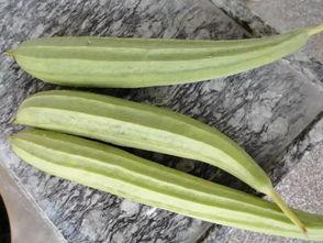 吃瓜会不会发病