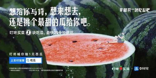 贴吧吃瓜文案,一场场热议背后的真相与笑料