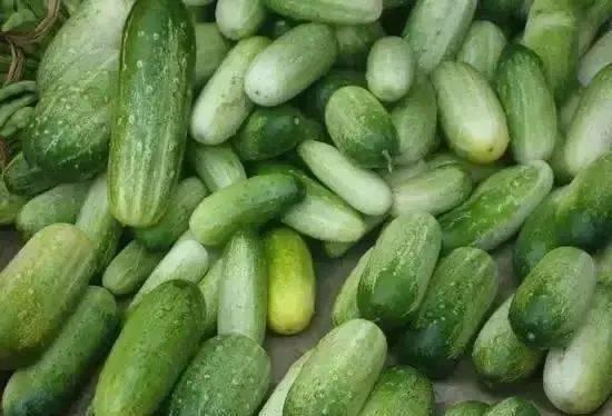 云南小子瓜怎么吃,云南小子瓜的多样食法探索