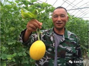 吃瓜视频群众的福利,吃瓜群众专属福利大放送！