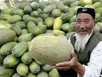 罗布老人吃哈密瓜