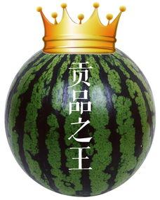吃瓜成帝